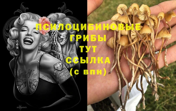 ешки Алексеевка